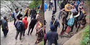 image: Mule handlers beat up pilgrims in Kedarnath