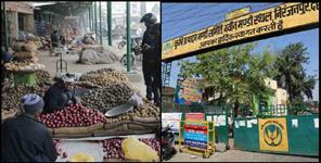 image: Sabji mandi will shifted in maldevta Raipur