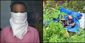 image: father-in-law murdered daughter in law