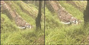 image: Car fell into a ditch on Lansdowne road of Pauri Garhwal