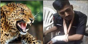 image: Leopard attack on soldiers in Lansdowne