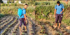 image: cricketer saurabh rawat doing farming in lockdown