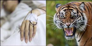 image: Girl fought with leopard in bageshwar
