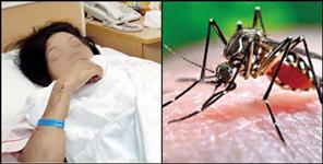 image: Dengue Patient in Dehradun