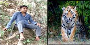 image: Tiger attack on forest workers in Corbett Park Ramnagar