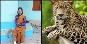 image: woman fought with a leopard with a sickle in her hand