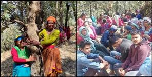 image: Movement for trees in Bageshwar