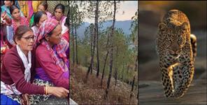 Leopard Kills Woman Collecting Fodder in Pauri Garhwal