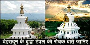 image: dehradun buddha temple