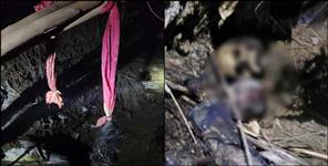 image: Skeletons of boy and girl found in Haridwar
