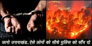 image: fire in jungle of uttarakhand