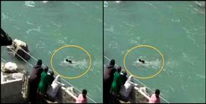 image: 9 nepali labourers crossing kali river and reached Nepal