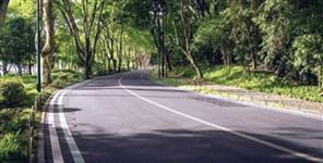 image: Massive Tree Felling Approved for Uttarakhand Four-Lane Road Project