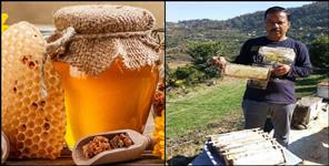 image: Champawat Harish Joshi Honey Production