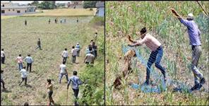image: Haldwani SDM Manish Singh and team caught Leopard