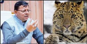 image: CM dhami got angry on guldaar attacks