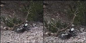 image: Scooty fell in a ditch in Tehri Garhwal