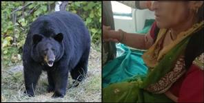 image: Rekha fought the bear in Pauri Garhwal Thalisain
