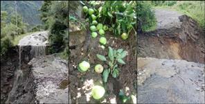 image: Apple crop destroyed due to heavy rain in Uttarkashi