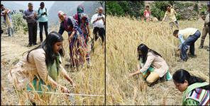 image: Chamoli district dm swati bhadauriya