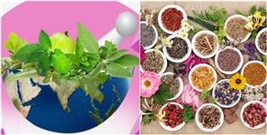 image: Uttarakhand Will Host its First International Ayurveda Conference