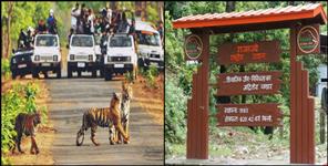 image: Tourists have thronged in rajaji tiger reserve haridwar
