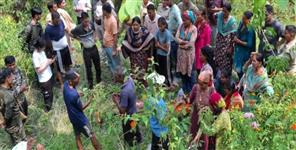 Leopard Attack Kills Woman in Pauri Garhwal