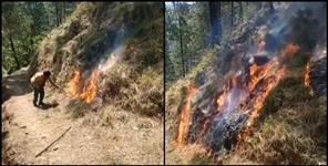 image: Young man set fire to forest for tic-tok video