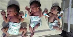 image: Uttarakhand Ramnagar woman gave birth to 3 child