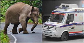 image: Delivery in ambulance in Ramnagar Uttarakhand