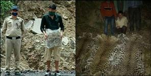 image: Wildlife smuggling from Chamoli to Nepal China