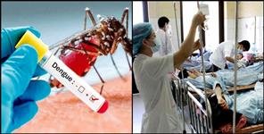 image: Dengue attack in dehradun, hospitals full