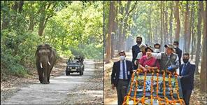 image: Surai Eco Tourism Zone The Newest Jungle Safari in Uttarakhand