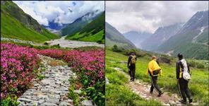 Tourist missing in Valley of flowers Chamoli SDRF search operation