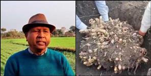 image: Narendra of Haldwani grew 24 kg of turmeric from 1 plant