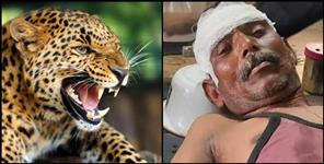 image: Pratap ram fought with leopard in pithoragarh