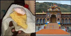 image: Badrinath Dham Ghee Blanket Tradition