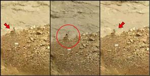 image: young man drowned in Alaknanda River