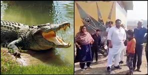 image: three crocodile enter the village in haridwar