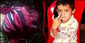 image: Leopard killed 5 years old girl in bageshwer