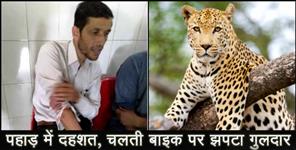 image: Leopard attack on a bike rider in almora