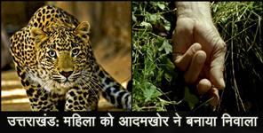 image: LEOPARD KILLED WOMEN IN UTTARAKHAND