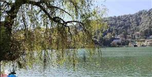 image: Nainital Lake Laila Majnu Tree