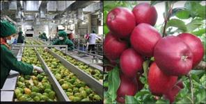 image: Center release funds for chaubatiya Cold Storage