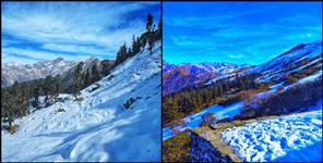image: Snowfall in chopta rudraprayag