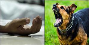 image: 30 year old youth dies of rabies in Dehradun