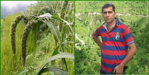 image: Success Story of Naresh nautiyal uttarkashi 