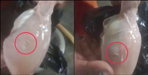image: Worms Found in Chicken Meat in Uttarakhand