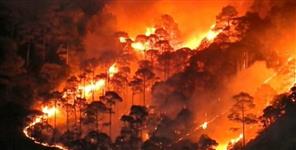 image: Elderly death in Chamoli forest fire