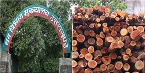image: Smuggler Beats Forest Department Inspector In Haldwani